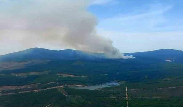 Yalova’da Orman Yangını