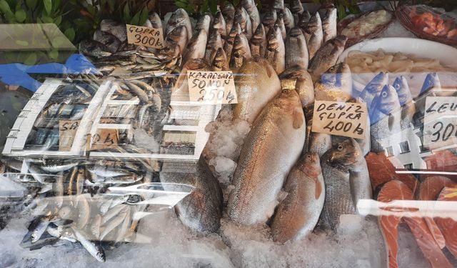 Balık Tüketiminin Artan Önemi ve Yalova’daki Yükselen Fiyatlar