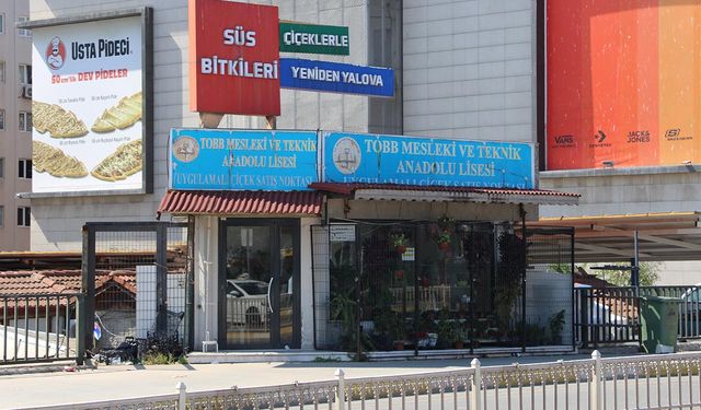 Yılda 2 Milyon Kök Bitki Üreten Okulun Uygulamalı Satış Noktası Kapandı, Bitkiler Kurudu