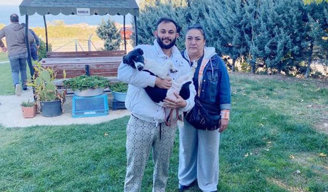 Terrier Cinsi Köpeğin Artık Sıcak Bir Yuvası Var!