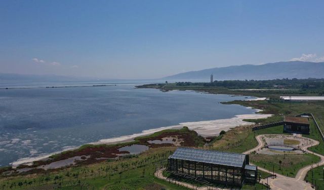 Yalova’da Doğa ve Kuş Gözlemi İçin Gizli Bir Cennet: Hersek Lagünü