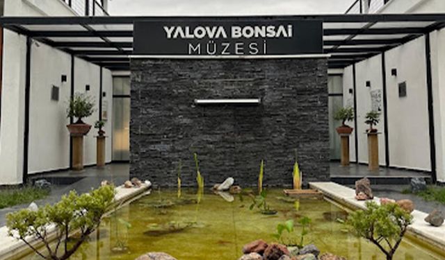 Kadıköylüler, Bonsai Müzesi’ni Ücretsiz Gezebilecek