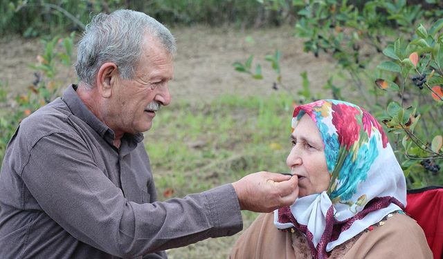 Eşinin Rahatsızlığı İçin Ektiği Meyvenin Taleplerine Yetişemiyor