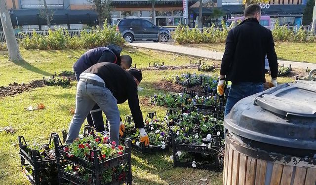 Yalova Belediyesi'nden Park ve Bahçelere Sonbahar Bakımı