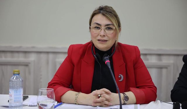 Başkan Yasemin Fazlaca, TDBB Yönetim Kurulu Toplantısı İçin Kuzey Makedonya’daydı