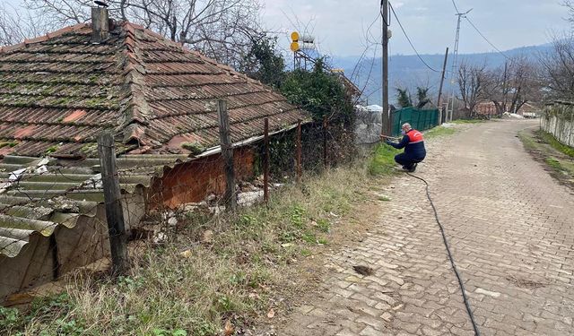 Yalova’da Kahverengi Kokarca Mücadelesine Devam Ediliyor