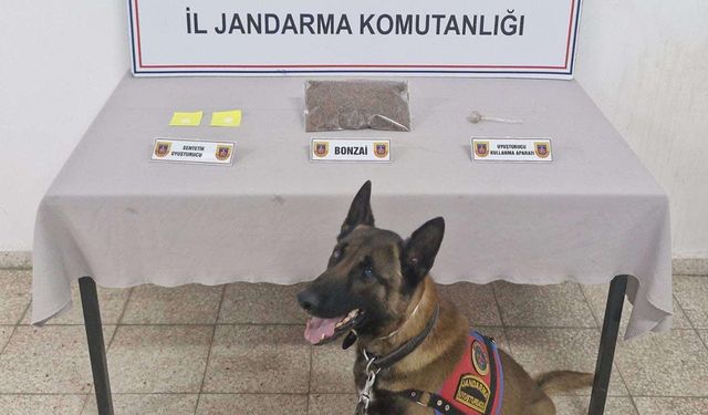 Yalova'da Uyuşturucu Operasyonu
