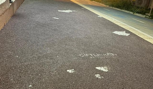 Çiftlikköy Yürüyüş Yolunun Yapılmasını İstiyor!