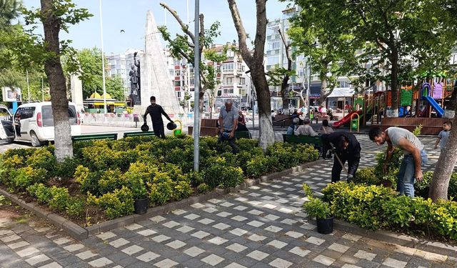 Çınarcık’ta Hizmet Seferberliği: Yol, Temizlik ve Peyzaj Çalışmaları Sürüyor