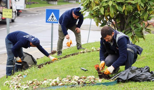 Tonami Meydanı Yaza Hazırlanıyor