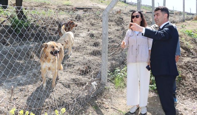 Vali Kaya’dan Sokak Hayvanları Bakımevine Ziyaret