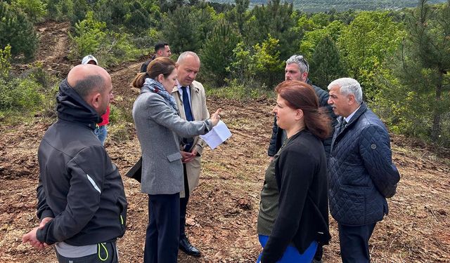 Çınarcık’ta Patili Dostlar İçin Doğal Yaşam Alanı Kuruluyor