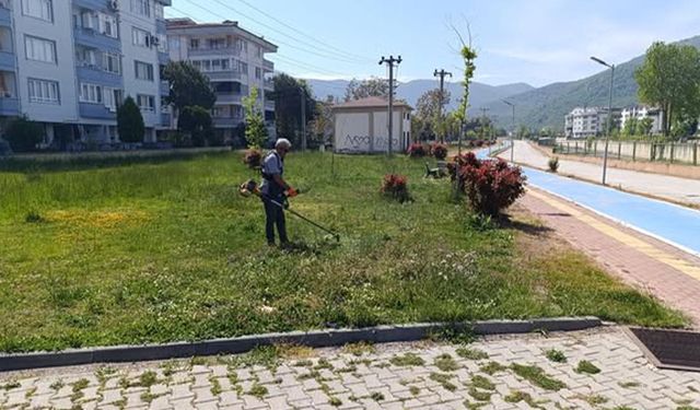 Çınarcık Belediyesi’nden Yaz Hazırlığı: Çim Biçme ve Çiçeklendirme Çalışmaları Sürüyor