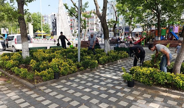 Turgut Özal Parkı’nda Bahar Bakımı