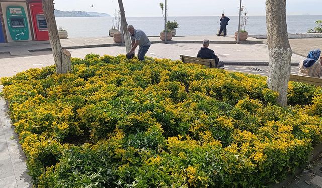 Çınarcık Belediyesi’nden Turgut Özal Parkı’nda Çiçek Ekimi ve Budama Çalışması