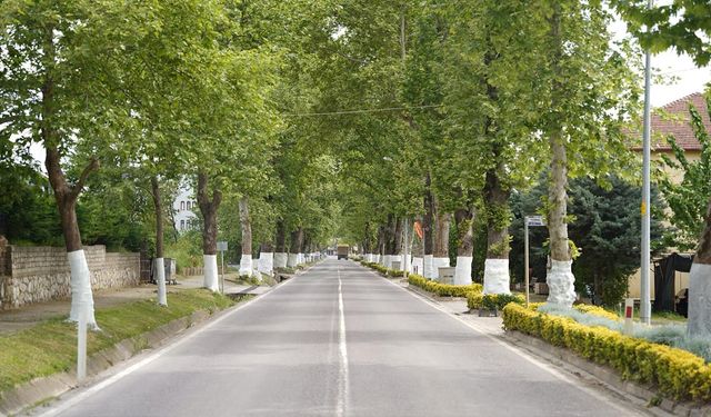 Kadıköy Belediyesi’nden Çevre ve Altyapı Çalışmaları