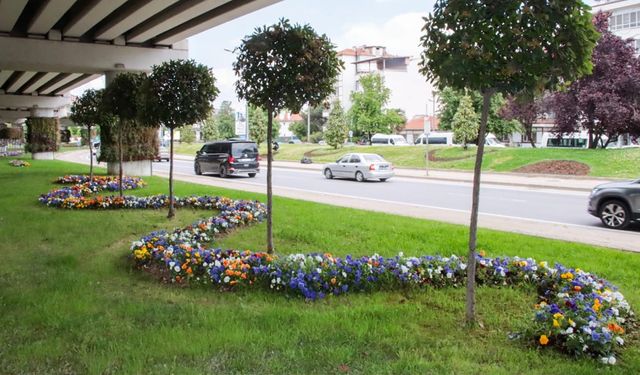 Yalova Çiçek Açıyor