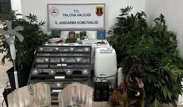 Evini Madde Serasına Çevirdi, Jandarma Yakaladı