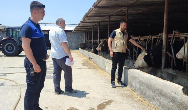 Altınova’da Kurban Kesim Yerlerine Denetim