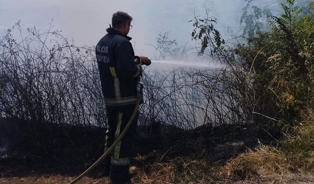 Otluk Alanda Çıkan Yangın Korkuttu