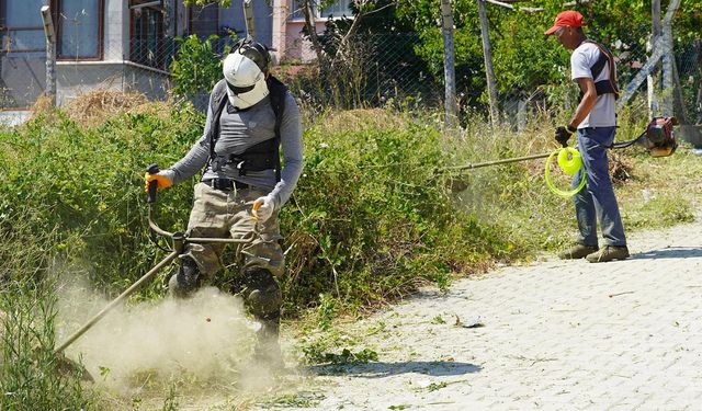 Armutlu Belediyesi’nden Ot Biçme Operasyonu