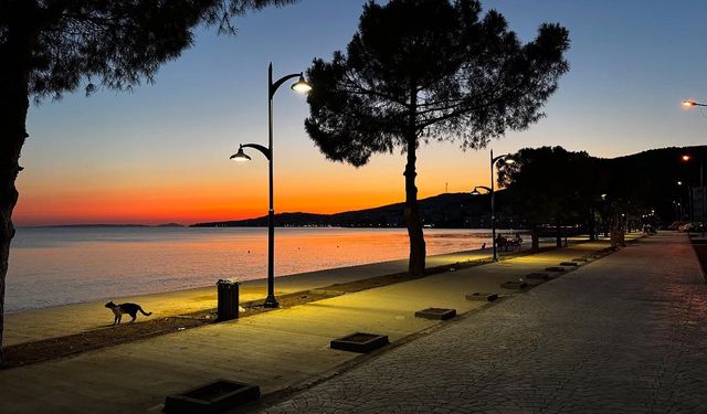 Yılandar Sahili Artık Işıl Işıl
