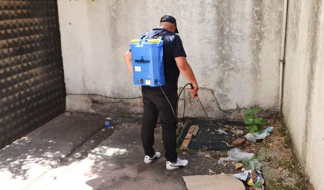 Yalova Belediyesi’nden Sivrisinekle Mücadele İçin Larva İlaçlaması