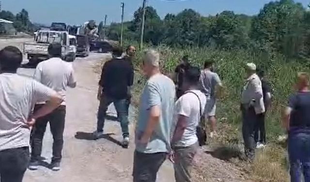 Yalova'da Freni Boşalan Kamyon Ters Devrildi: 1 Yaralı