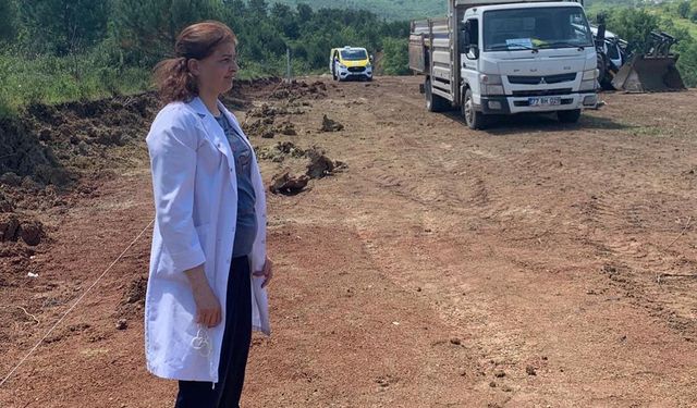 Çınarcık Belediyesi’nden Patili Dostlara Doğal Yaşam Alanı Müjdesi