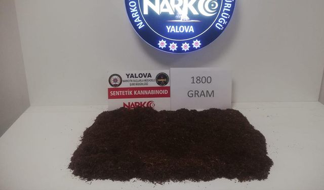Yalova’da Uyuşturucu Operasyonu