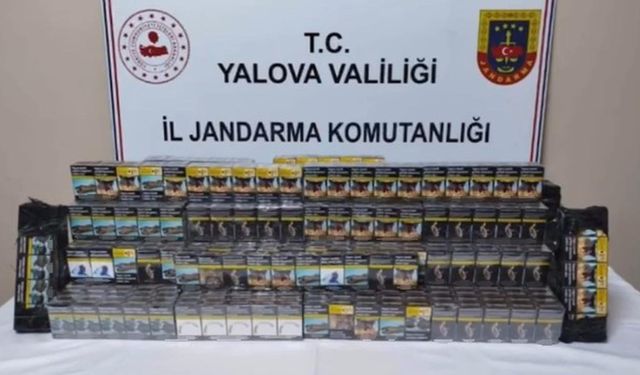 Yalova'daki Ro-Ro Gümrük Limanı’nda Kaçak Sigara Operasyonu