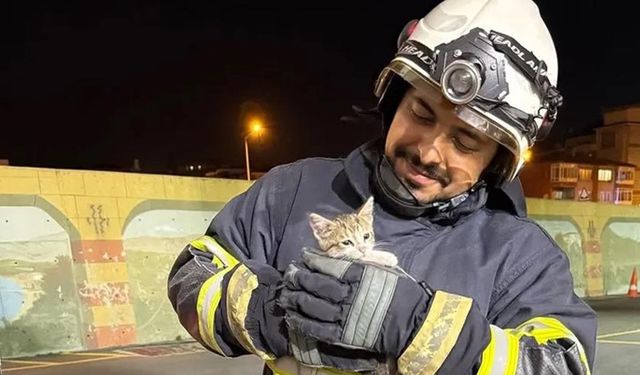 Üst Geçitte Sıkışan Yavru Kedi İtfaiye Tarafından Kurtarıldı