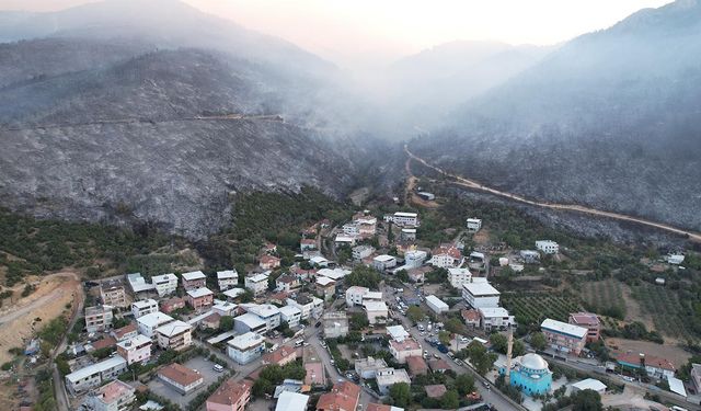 Bursa'daki yangının acı boyutu gün ağarınca ortaya çıktı