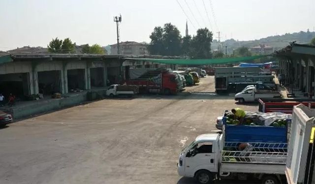 İstanbul’un Sebze ve Meyvesi Yalova’dan!