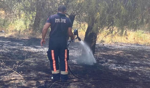 Subaşı’ndaki Yangın Hızlı Müdahaleyle Söndürüldü