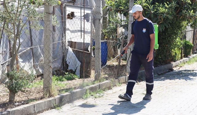Yabani Otlar İlaçlanarak Kurutuluyor