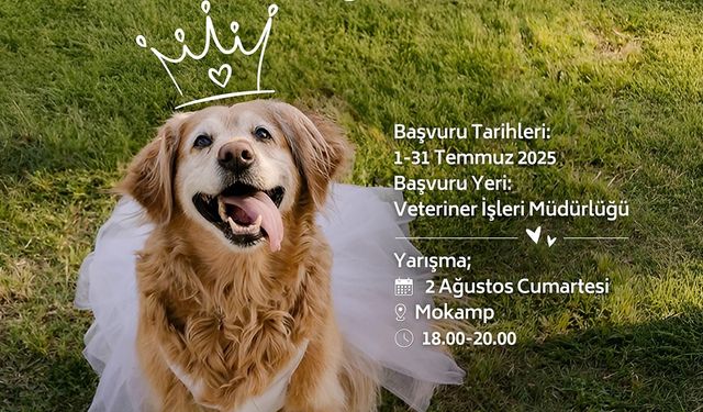 Çiftlikköy Köpek Güzellik Yarışması