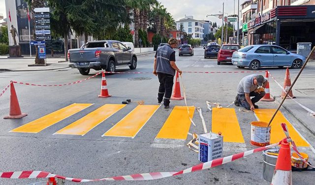 Çiftlikköy Yaya Geçitleri ve Kasis Boyama Çalışmalarına Başladı