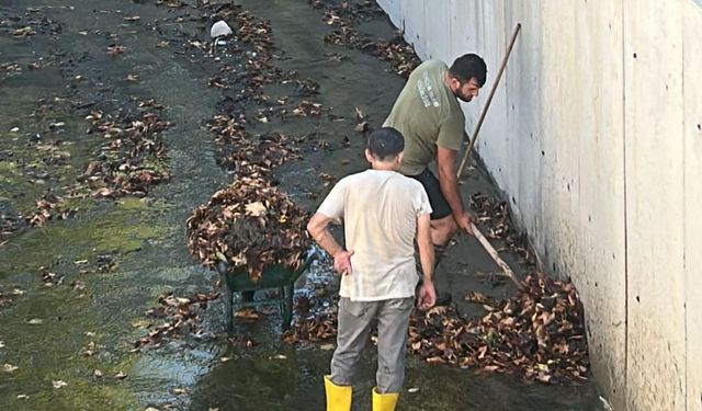 Çınarcık Ay Deresi’nde Temizlik Çalışması