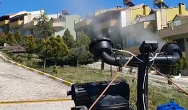 Esenköy Belediyesi’nden Yazlıkçılara Müjde: Sineklere Karşı Etkin Mücadele Başladı