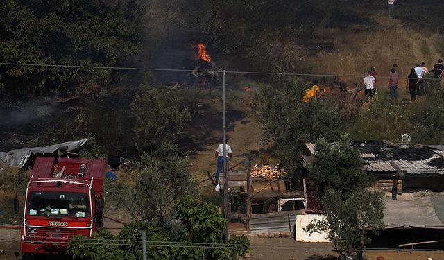 Yalova'da Arazi Yangını