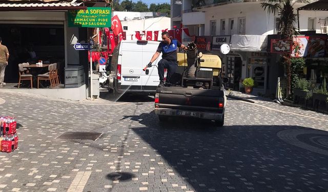 Termal’de Yaz Boyu Haşereyle Mücadele Sürüyor