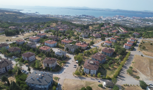 Yalova'da tepki çeken hayvan besleme yasağı