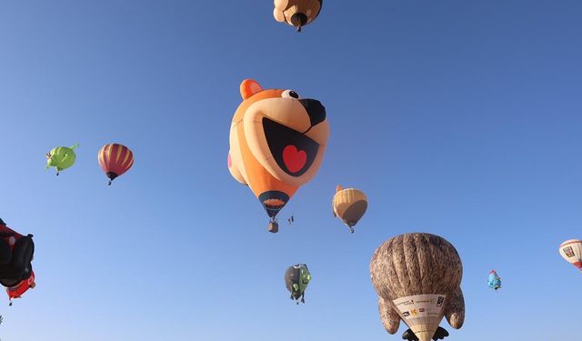 27 Ülkeden 38 Balon Gökyüzünü Süsledi