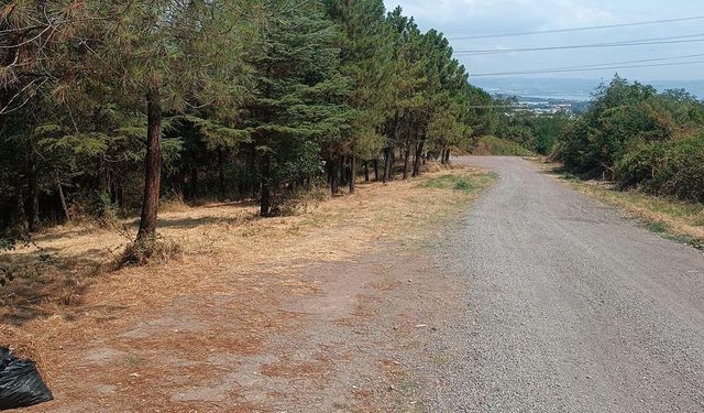 Subaşı’nda Okul Yolu Temizlendi