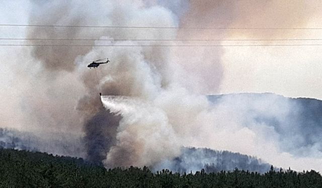 Bolu'daki Orman Yangınına Müdahale Sürüyor