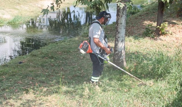 Dere Çevrelerinde Yabani Ot Temizliği Devam Ediyor