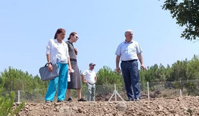 Çınarcık Belediyesi'nden Can Dostlara Doğal Yaşam Alanı
