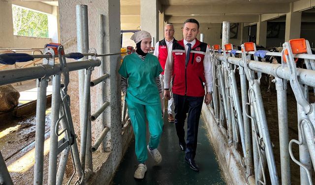 Kırsal Kalkınma Destekleri Yalova’da Meyvesini Veriyor