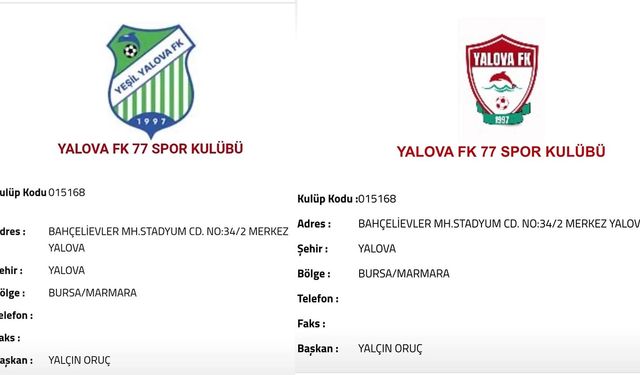 TFF, Yalova FK 77 Spor İsmini ve Logosunu Onayladı